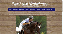 Desktop Screenshot of netrakehners.com