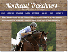 Tablet Screenshot of netrakehners.com